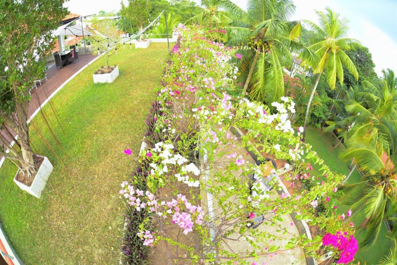 Tropical House - Jungleside Villa Hikkaduwa Extérieur photo